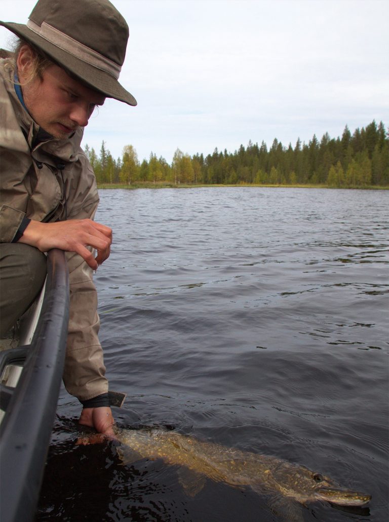 Tornio-Muonionjoen ja rannikon kalatalousalue